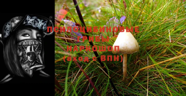 mix Карпинск