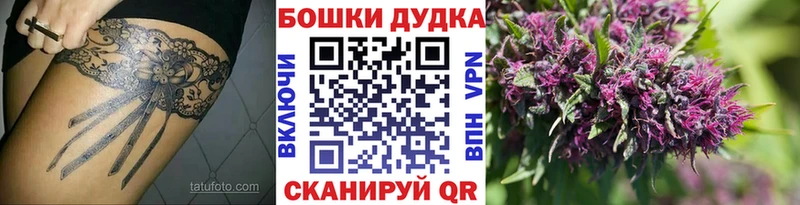 Марихуана сатива  Купить где  Суздаль 